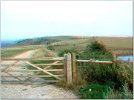 a_south_downs_87